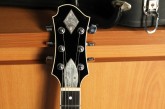 Zemaitis GZ-501-8.jpg